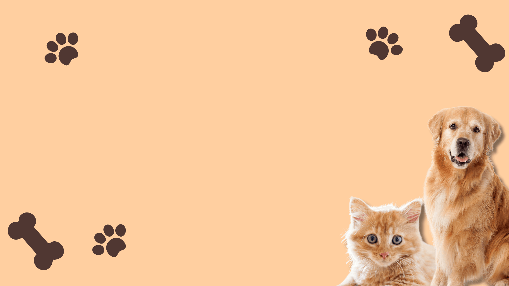 Banner background